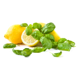 lemon-basil