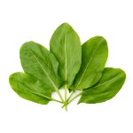 multivitamin-spinach